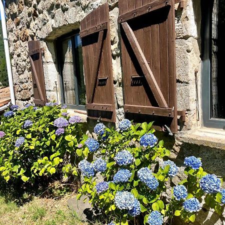 Gite Des Sausses Dans Une Nature Preservee Burzet Exterior photo