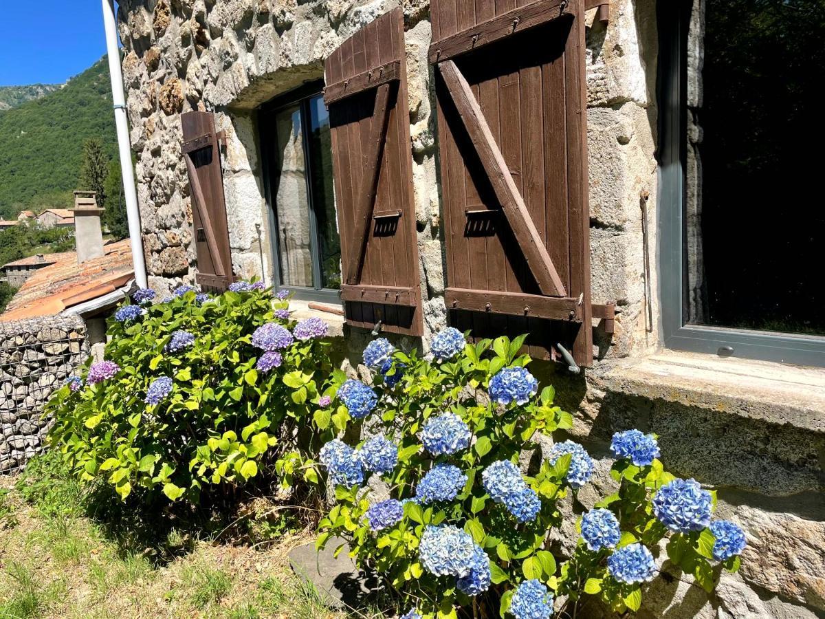 Gite Des Sausses Dans Une Nature Preservee Burzet Exterior photo
